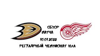 Анахайм Дакс – Детройт Ред Уингз Обзор матча НХЛ 10.01.2022