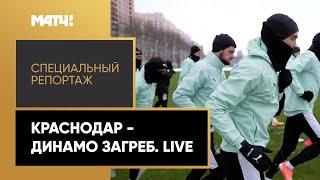 «"Краснодар" - "Динамо" Загреб. Live». Специальный репортаж